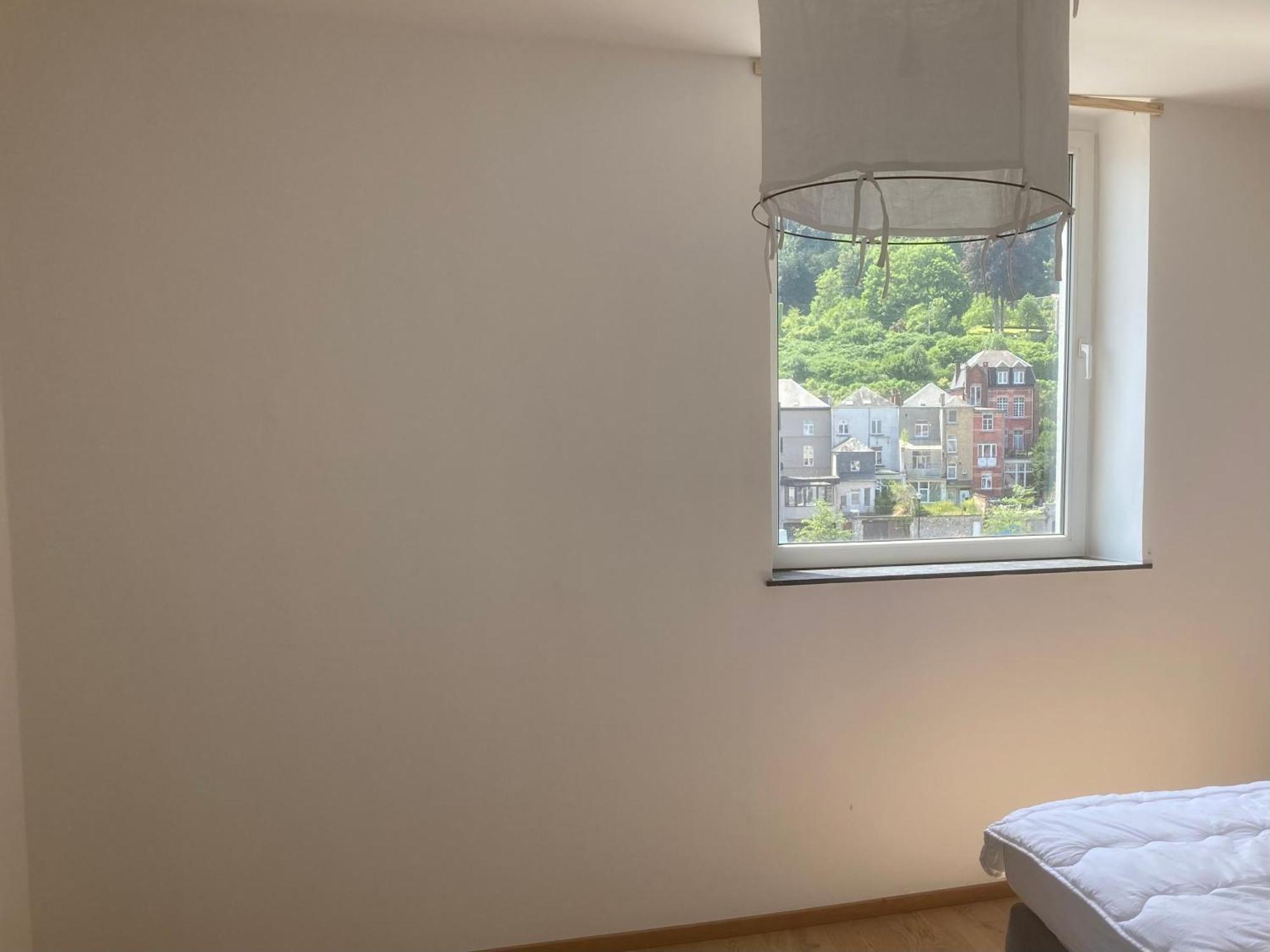 Les Terrasses De Sax Bed and Breakfast Dinant Eksteriør billede